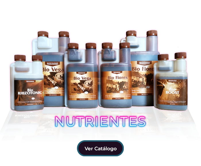 https://wstock.cl/es/wp-content/uploads/2020/05/slider-nutrientes-1.png